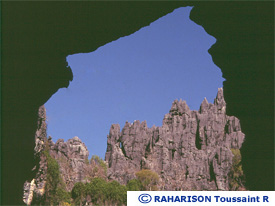 Image Image