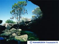 Image Image